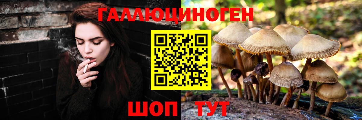 как найти закладки  Вход с VPN  Александров  Псилоцибиновые грибы мицелий 